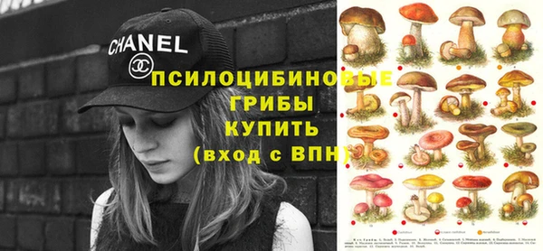 МДПВ Алексеевка