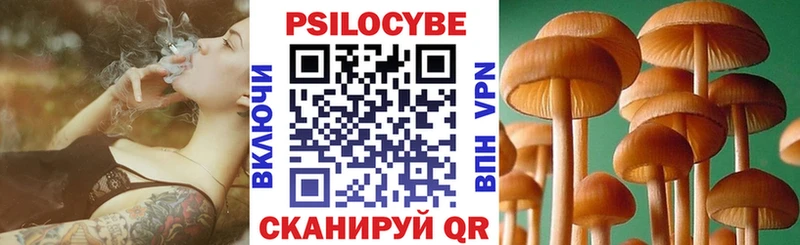 где продают наркотики  Ленинск  Псилоцибиновые грибы Magic Shrooms 